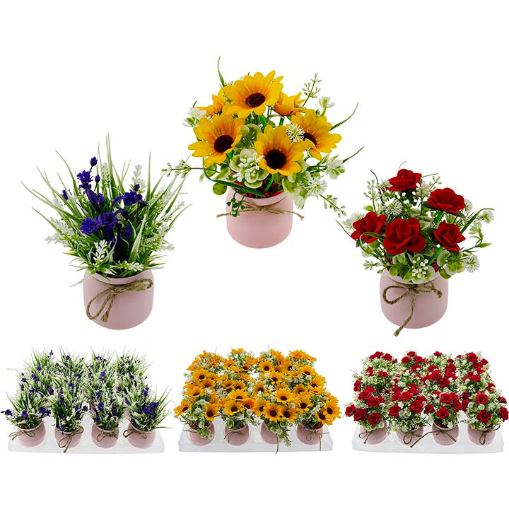 FLOWER W/ POT 3 ASSORTED