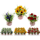 FLOWER W/ POT 3 ASSORTED