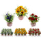 FLOWER W/ POT 3 ASSORTED