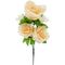 ROSE BOUQUET 5 BR PEACH