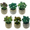 POT SUCCULENT CEMENT POT 6ASTD