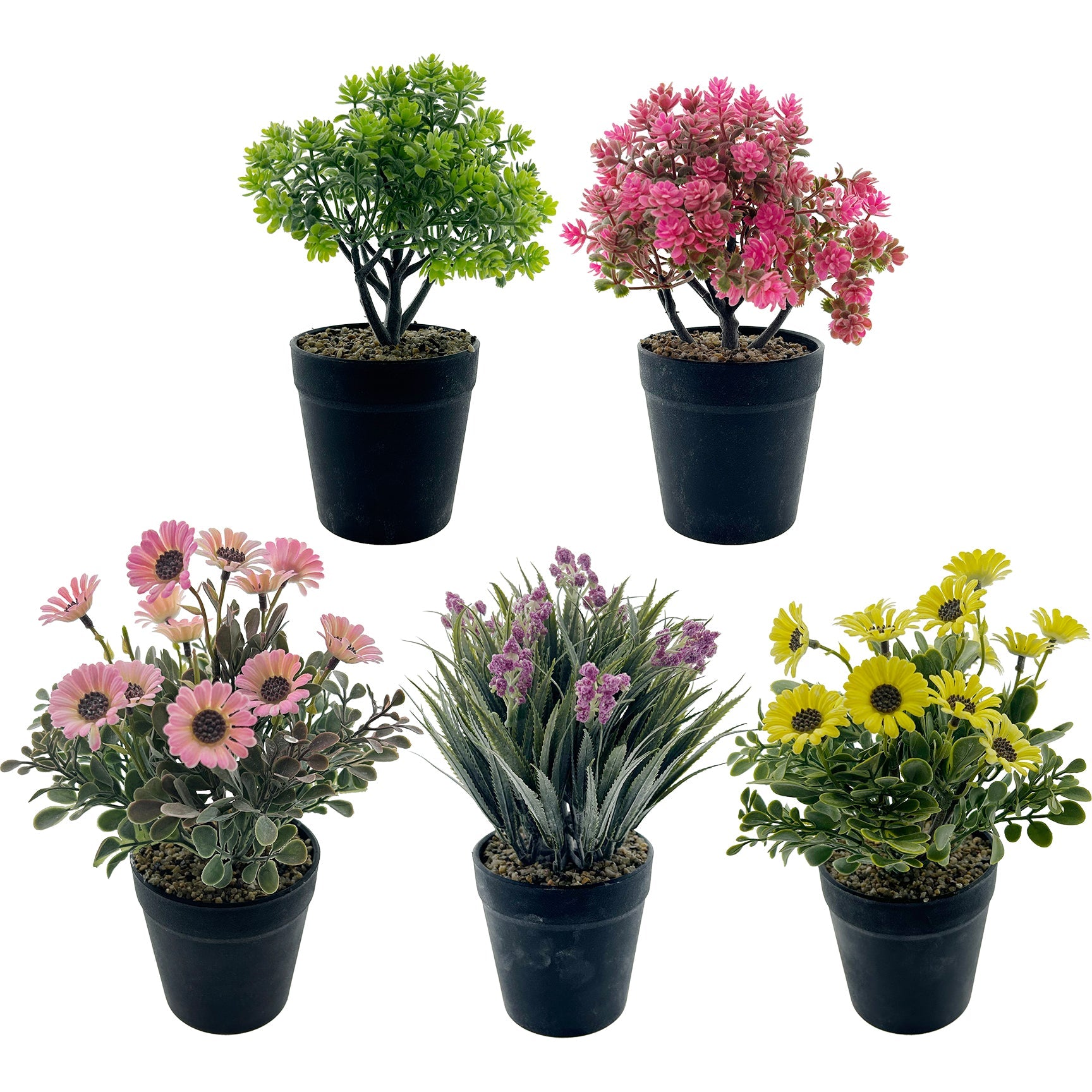 POT FLOWER BOUQ W/ PLASTIC POT 5 ASTD