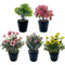 POT FLOWER BOUQ W/ PLASTIC POT 5 ASTD