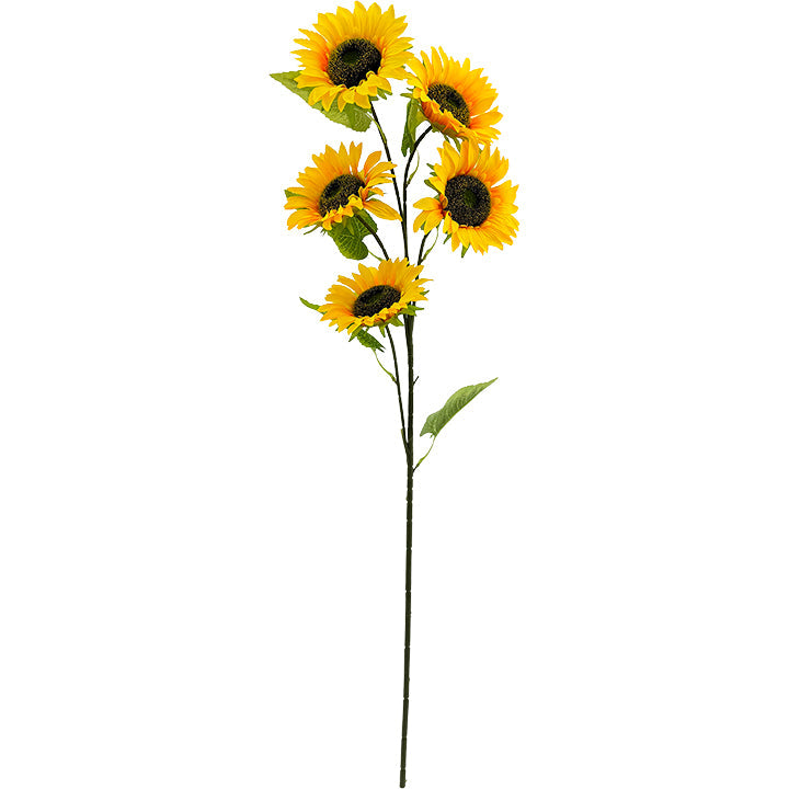 SUNFLOWER 5-BR LONG STEM 1M