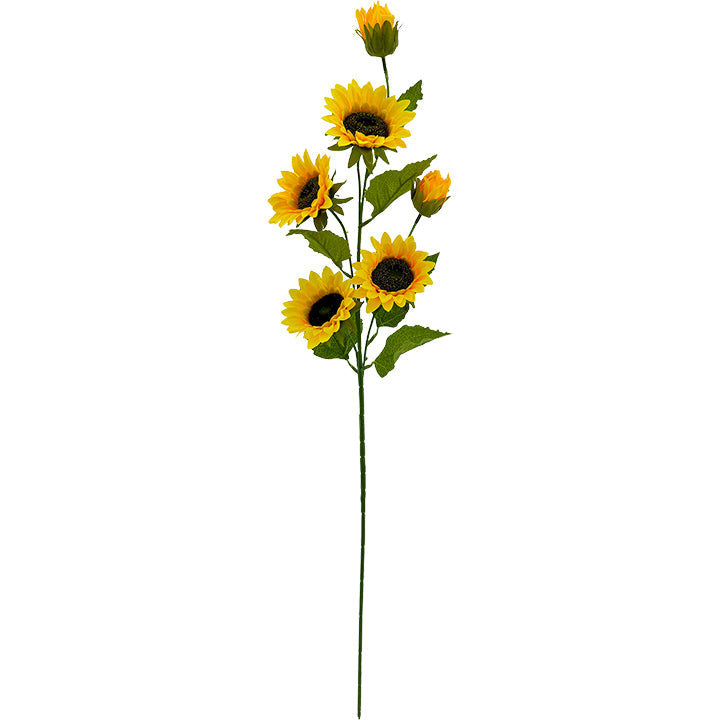 SUNFLOWER 6-BR LONG STEM 75CM