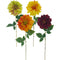 DAHLIA LONG STEM 4 ASSTD