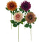 CHRYSANTHEMUM LONG STEM 4 ASSTD