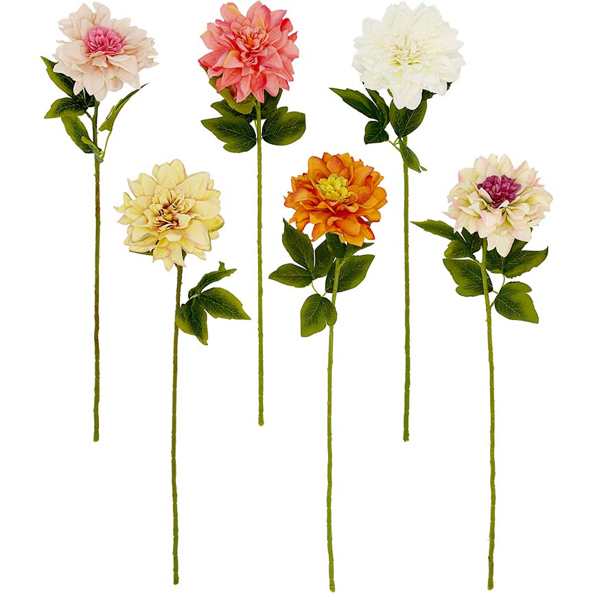 DAHLIA LONG STEM 66CM 6ASTD SPRING