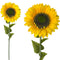 SUNFLOWER LONG STEM 1.3M