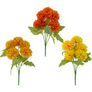 MARIGOLD 5 HEADx6CM 11.8IN(H) BUSH ASSTD