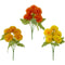 MARIGOLD 5 HEADx6CM 11.8IN(H) BUSH ASSTD