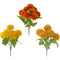 MARIGOLD 7 HEAD x6CM 11.8IN(H) BUSH ASSTD