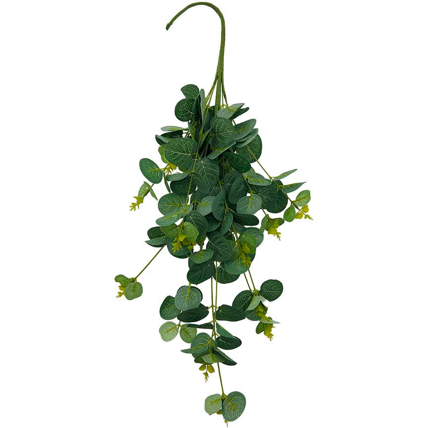 EUCALYPTUS SPRAY 60CM