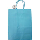 CRAFT BAG LARGE 10x5.5x13IN LT BLUE 2PC