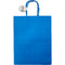 CRAFT BAG LARGE 10x5.5x13IN BLUE 2PC