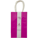 CRAFT BAG SM 5.24x3.27x8.5IN GLOSSY HOT PINK 4PC