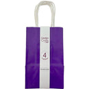 CRAFT BAG SM 5.25x3.27x8.5IN GLOSSY PURPLE 4PC