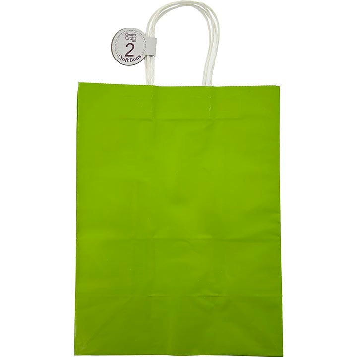 CRAFT BAG LG 10x5.5x13IN GLOSSY LT GREEN 2PC
