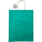 CRAFT BAG LG 10x5.5x13IN GLOSSY TEAL 2PC