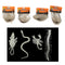 CREEPY CREATURES GLOW IN THE DARK; 4 ASSTD