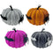 PUMPKIN SPIDER GLTR 18x11CM 4COL ASSTD