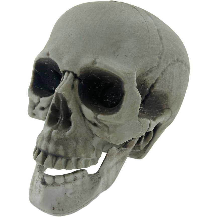 SKULL HEAD DECOR 15x19CM POSABLE JAW