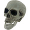 SKULL HEAD DECOR 15x19CM POSABLE JAW