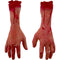 ARM 2 ASSTD RIGH & LEFT HAND 30CM