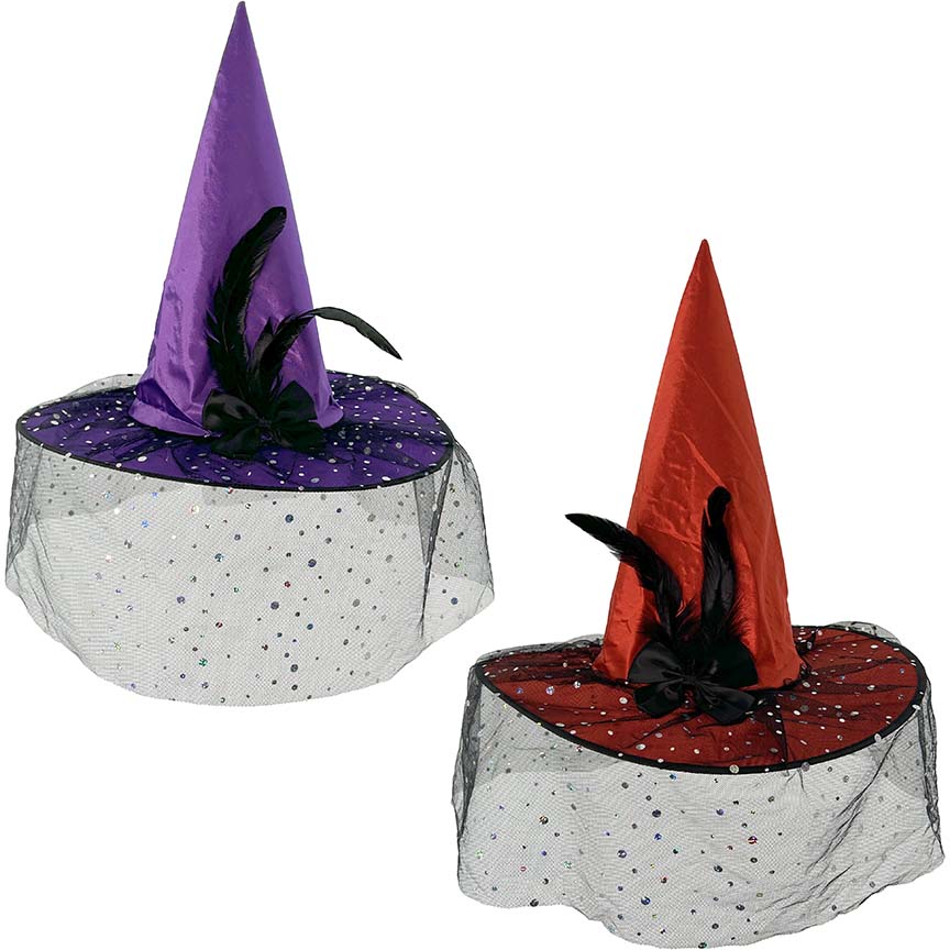HAT WTICH  W/ VEIL 2ASTD