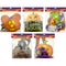 PLAQUE PAPER 1PC 10.6x11.4IN 5ASTD