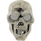 MASK HALLOWEEN SKULL