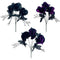 SPIDER FLOWER BLACK 5BR 30CM 3ASTD