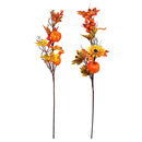 FALL PUMPKIN STEM