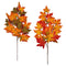 MAPLE LEAF STEM 2 ASSORTED