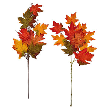 MAPLE LEAF STEM 2 ASSORTED