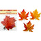 HARVEST MAPLE LEAVES 9PK 5.5IN