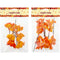 FALL BERRY 6PC 2 ASTD