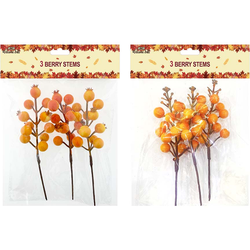 FALL BERRY 3PC