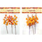 FALL BERRY 3PC