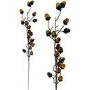 ACORN SPRAY 70CM