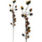 ACORN SPRAY 70CM