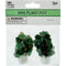 PLANT MINI FRUIT BUSH 2PC SET