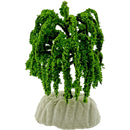 TREE CRAFT MINI WILLOW 8CM 1PC