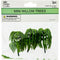 TREE CRAFT MINI WILLOW 6CM 3PC