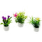 PLANT  MINI FLOWER POT 3PC SET PLASTIC