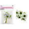 CHRYSANTHEMUM BUNDLE 6PC WHITE