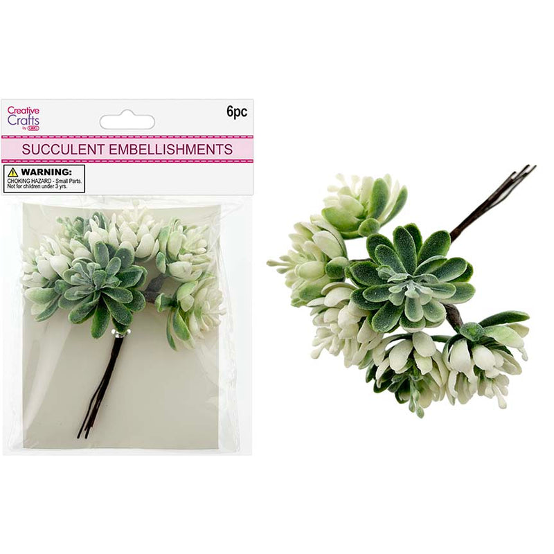 SUCCULENT BUNDLE 6PC LIGHT GREEN