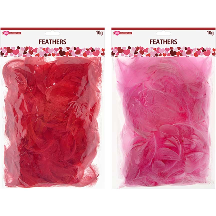 VALENTINE FEATHERS 5-8CM 10G 2ASTD