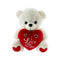 TEDDY BEAR W/ HEART 25CM WHITE