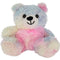 GIFT TEDDY BEAR RAINBOW 7in (17.78cm)